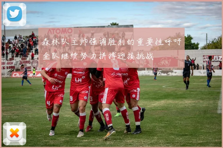 森林队主帅强调胜利的重要性呼吁全队继续努力拼搏迎接挑战