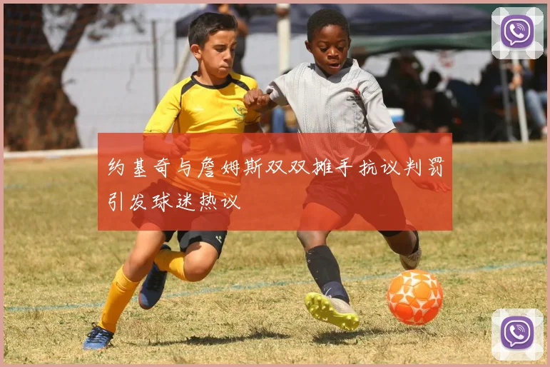 约基奇与詹姆斯双双摊手抗议判罚引发球迷热议